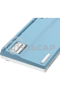 Клавиатура проводная A4Tech Fstyler FS300 (FS300 PANDA SNOWBOARDING), USB, белый/синий