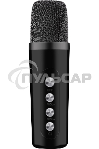 Портативная колонка Defender Versuz 15Вт,