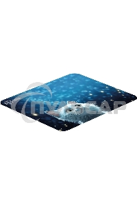 Коврик для мыши Cactus белый Cat 300x250x3мм (CS-MPC-D11M)
