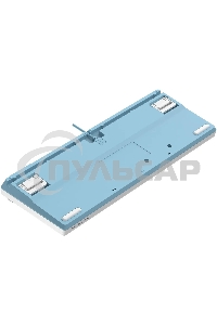 Клавиатура проводная A4Tech Fstyler FS300 (FS300 PANDA SNOWBOARDING), USB, белый/синий