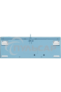 Клавиатура проводная A4Tech Fstyler FS300 (FS300 PANDA SNOWBOARDING), USB, белый/синий