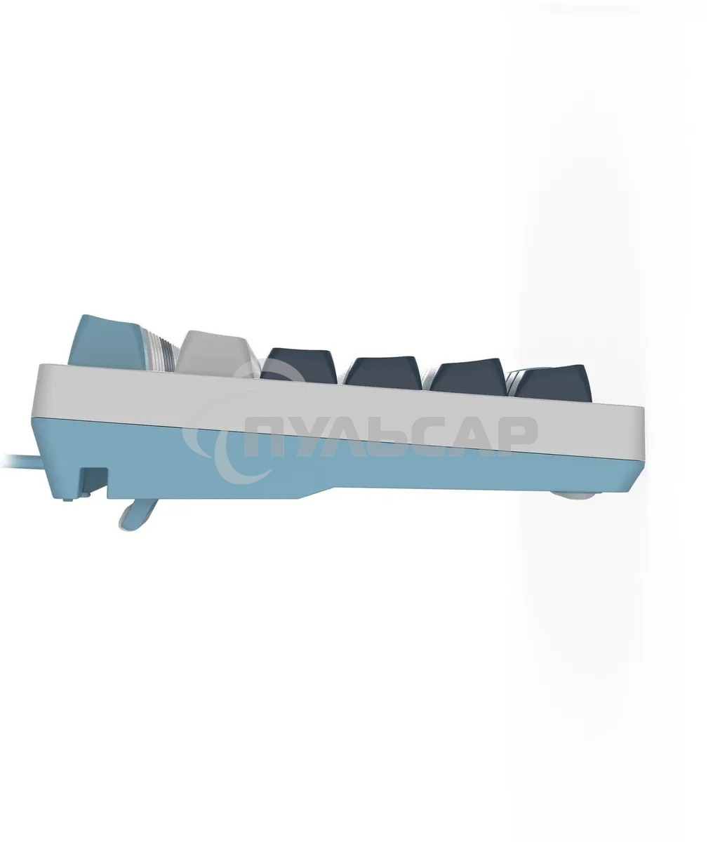 Клавиатура проводная A4Tech Fstyler FS300 (FS300 PANDA SNOWBOARDING), USB, белый/синий