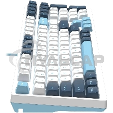 Клавиатура проводная A4Tech Fstyler FS300 (FS300 PANDA SNOWBOARDING), USB, белый/синий