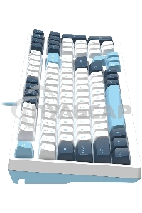 Клавиатура проводная A4Tech Fstyler FS300 (FS300 PANDA SNOWBOARDING), USB, белый/синий