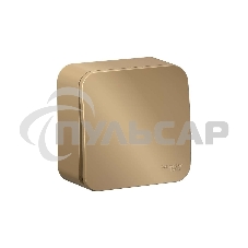 Выключатель 1-кл. ОП BLANCA (сх.1) 10А 250В изол. пласт. титан SchE BLNVA101014