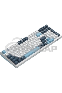 Клавиатура проводная A4Tech Fstyler FS300 (FS300 PANDA SNOWBOARDING), USB, белый/синий