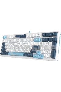 Клавиатура проводная A4Tech Fstyler FS300 (FS300 PANDA SNOWBOARDING), USB, белый/синий