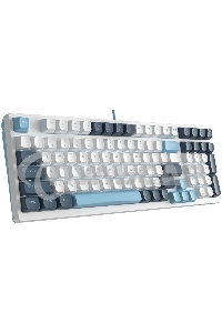 Клавиатура проводная A4Tech Fstyler FS300 (FS300 PANDA SNOWBOARDING), USB, белый/синий