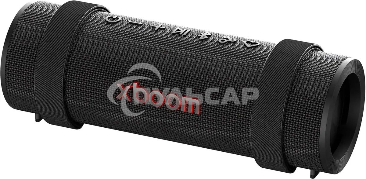 Портативная колонка LG Xboom GRAB черный 30W 1.1 BT