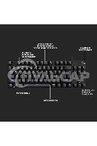 Клавиатура проводная Logitech Gaming Keyboard G413 TKL SE Mechanical - RUS - USB - TACTILE SWITCH черный