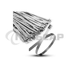 Хомут кабельный 4.6х100 сталь ANSI 304 TOKOV ELECTRIC TKE-HM304-4.6-100-N/100