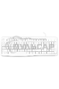 Клавиатура проводная Oklick 305M (1875227), USB, белый