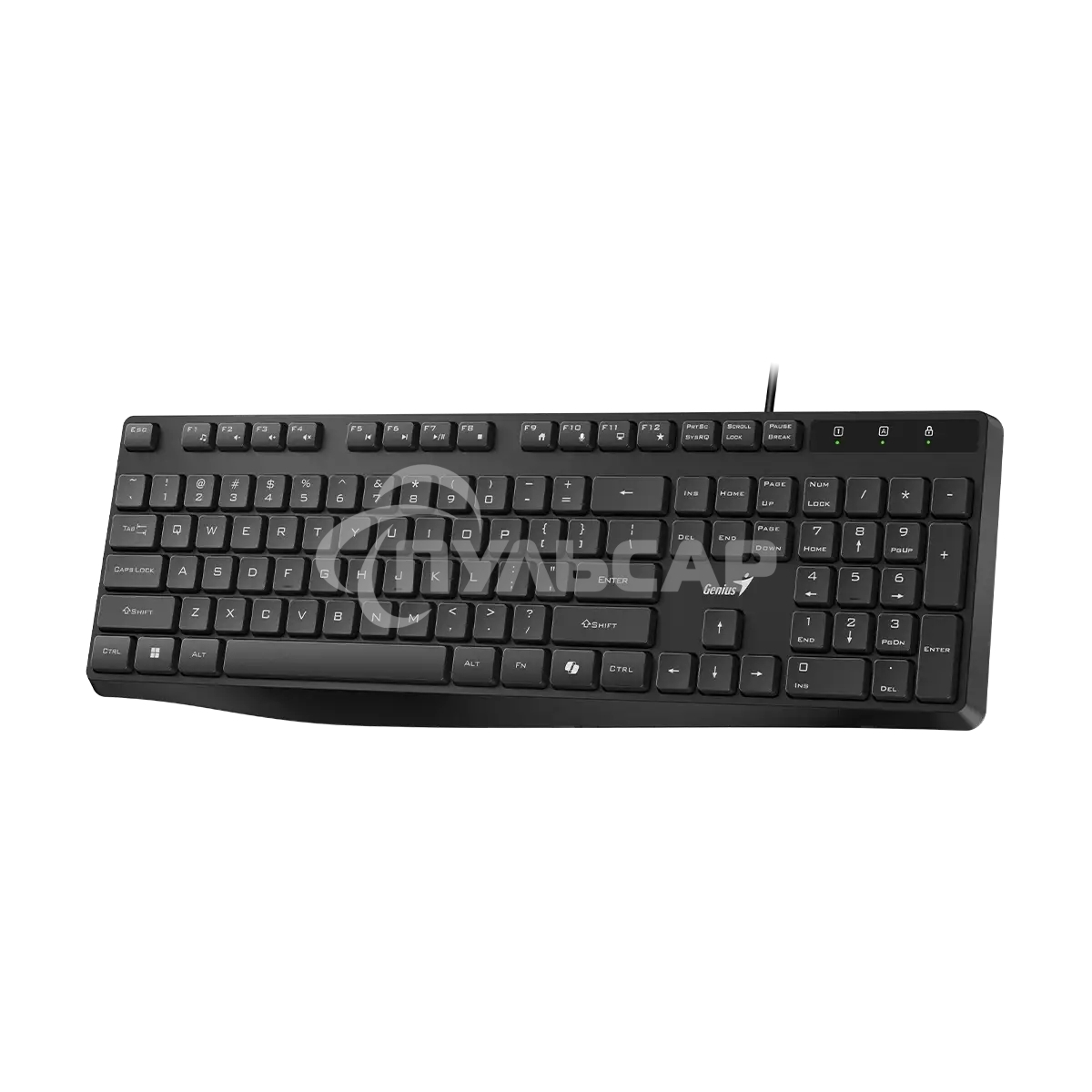 Клавиатура проводная Genius KB-117S Copilot бесшумная/шоколадные клавиши/USB/кабель 1.5м/черный (31300017402)