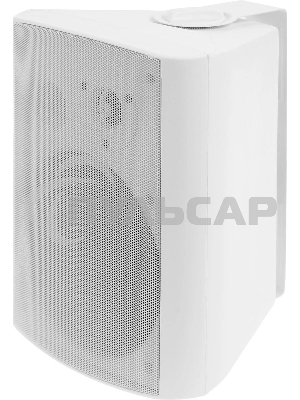 Громкоговоритель Tantos TSo-SW30k настенный 30Вт белый (00-00006480)