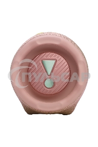 Портативная акустика JBLCHARGE6PINK розовый