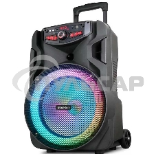 Портативная акустика Blackton Bt PBS2113 черный Мощность RMS 40 Вт Bluetooth