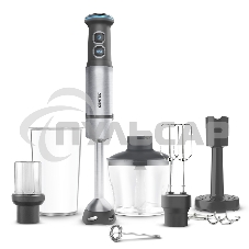 Блендер Centek CT-1313