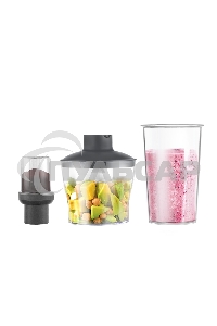 Блендер Centek CT-1313