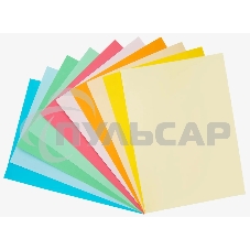 Бумага цветная Silwerhof ассорти тонир. 10л. 10цв. A4 Умная черепаха 80г/м2 1диз. папка