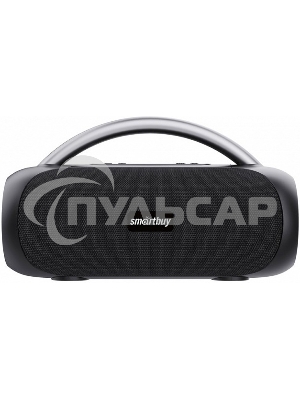 Колонка беспроводная SMARTBUY (SBS-5580) MASTER, черный