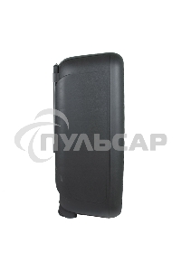 Колонка Eltronic 08