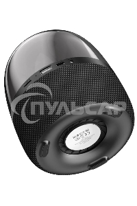 Портативная колонка BOROFONE (6974443382280) BP8 черный