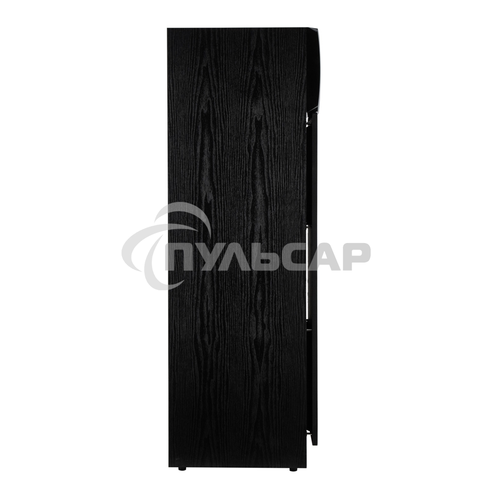 Акустическая система ELTRONIC (30-58) HOME SOUND - колонка 10