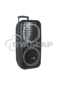 Колонка Eltronic 08