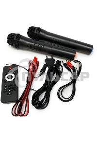 Колонка Eltronic 08