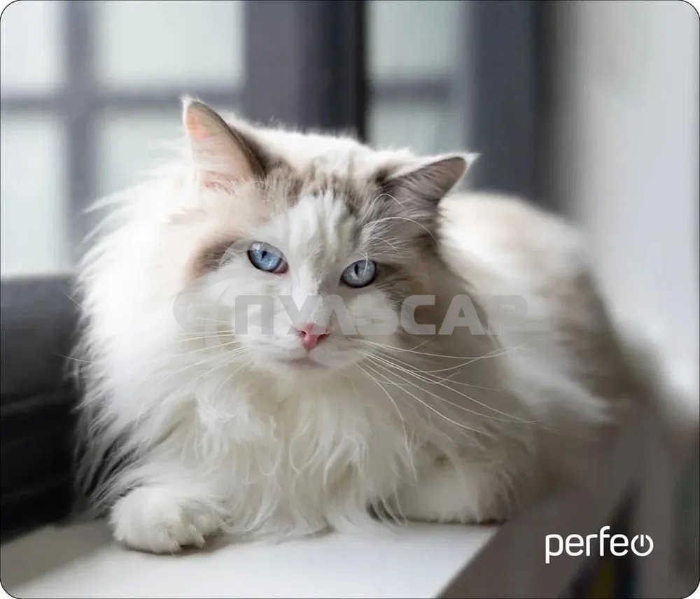 Коврик для мыши PERFEO PF_D0638 