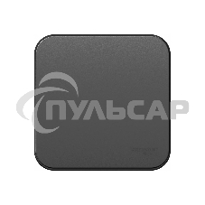 Выключатель 1-кл. ОП BLANCA (сх.1) 10А 250В изол. пласт. антрацит SchE BLNVA101016