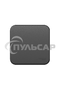 Выключатель 1-кл. ОП BLANCA (сх.1) 10А 250В изол. пласт. антрацит SchE BLNVA101016