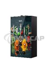 Колонка газовая Ballu GWH 10 Fiery Glass Curry
