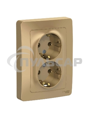 Розетка 2-м СП BLANCA 16А 250В без шторок с заземл. титан SchE BLNRS001024