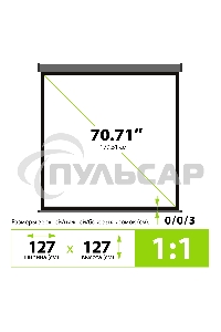 Экран Cactus 127x127см Wallscreen CS-PSW-127X127-SG 1:1 настенно-потолочный рулонный серый