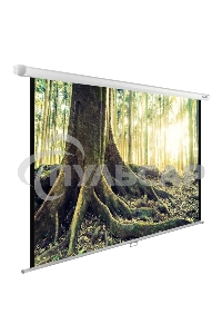 Экран Cactus 220x220см WallExpert CS-PSWE-220x220-WT 1:1 настенно-потолочный рулонный