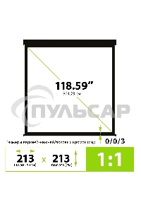 Экран Cactus 213x213см Wallscreen CS-PSW-213X213-BK 1:1 настенно-потолочный рулонный черный