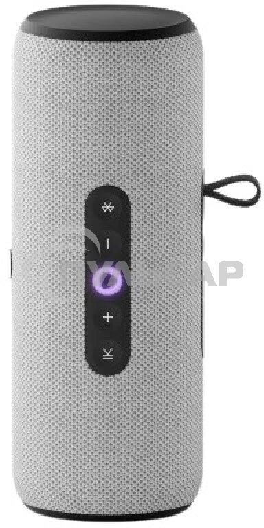 Умная портативная колонка Яндекс Станция Стрит с Алисой, модель YNDX-00030GRY (серый)