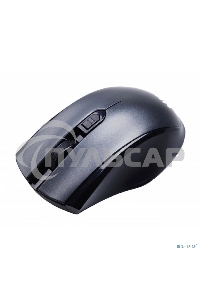 Мышь беспроводная Acer OMR030 черный, 1600 dpi, радиоканал, USB, кнопки - 4