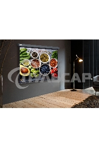 Экран Cactus 150x150см Wallscreen CS-PSW-150X150-SG 1:1 настенно-потолочный рулонный серый