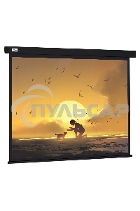 Экран Cactus 150x150см Wallscreen CS-PSW-150X150-BK 1:1 настенно-потолочный рулонный черный