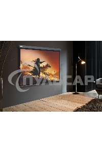 Экран Cactus 213x213см Wallscreen CS-PSW-213X213-SG 1:1 настенно-потолочный рулонный серый