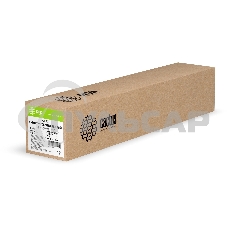 Холст Cactus CS-GC260-61030 24