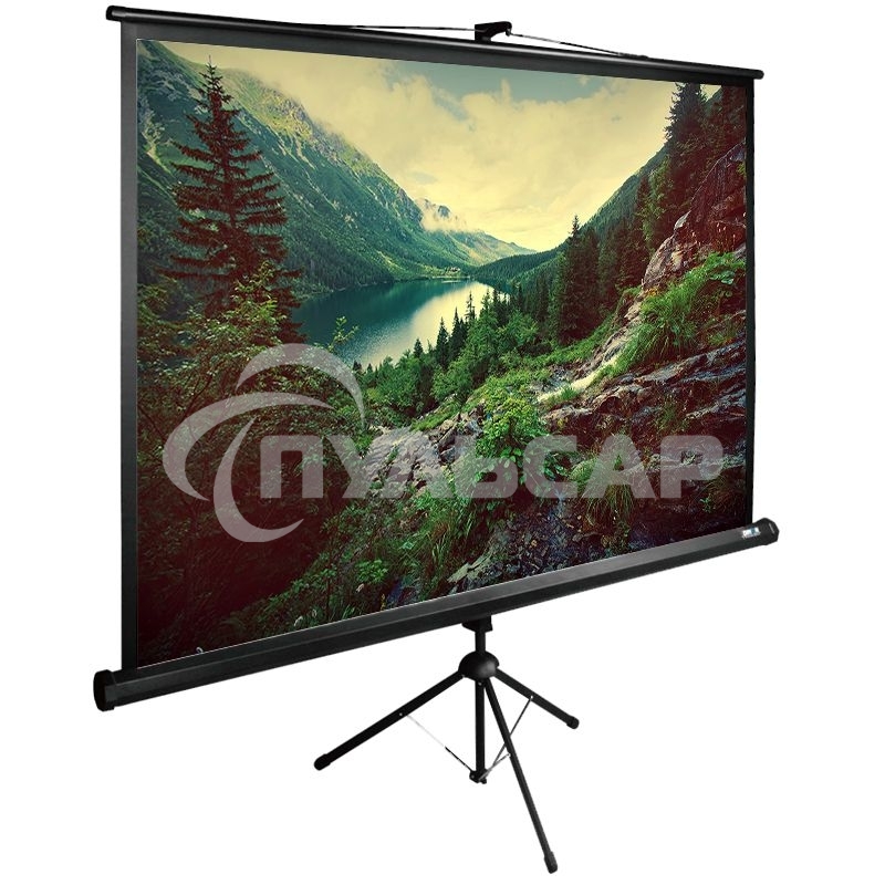 Экран Cactus 220x220см TriExpert CS-PSTE-220х220-BK 1:1 напольный рулонный