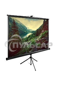 Экран Cactus 220x220см TriExpert CS-PSTE-220х220-BK 1:1 напольный рулонный