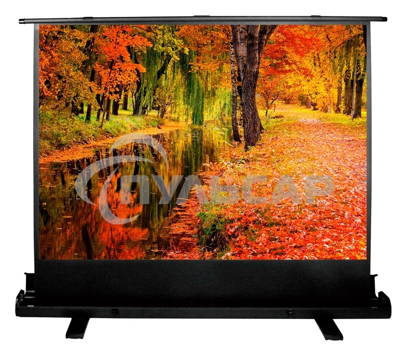 Экран Cactus 150x200см FloorExpert CS-PSFLE-200X150 4:3 напольный рулонный