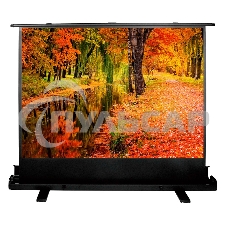 Экран Cactus 150x200см FloorExpert CS-PSFLE-200X150 4:3 напольный рулонный