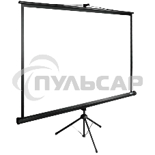 Экран Cactus 220x220см TriExpert CS-PSTE-220х220-BK 1:1 напольный рулонный