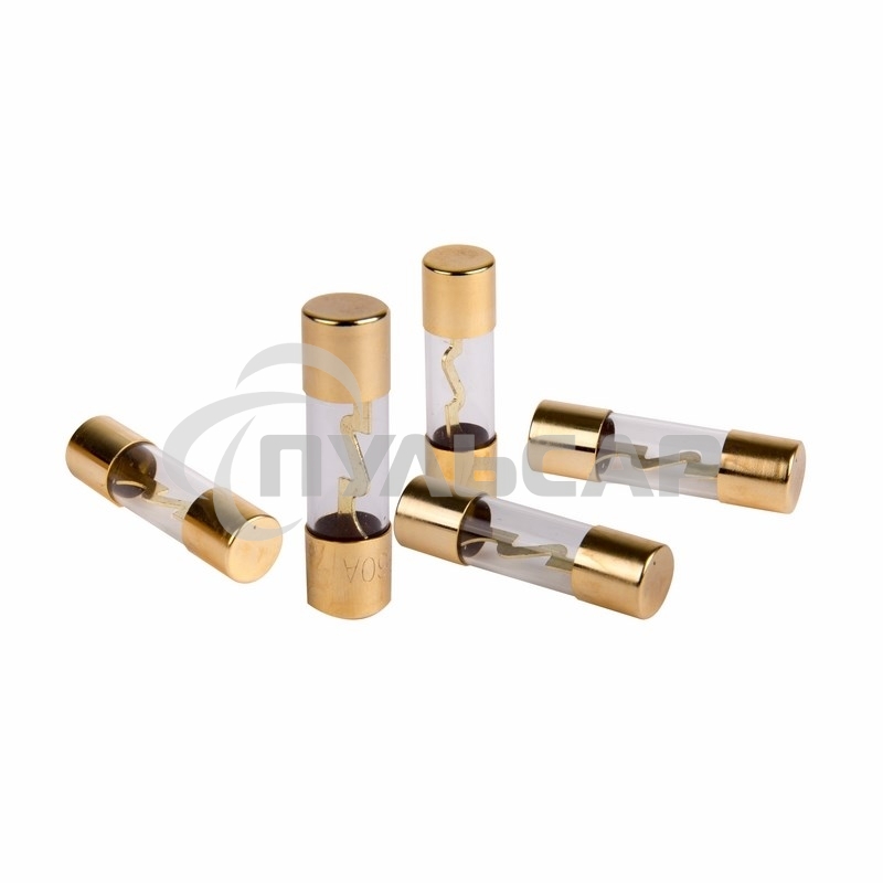 Набор плавких предохранителей типа AGU 100А Rexant