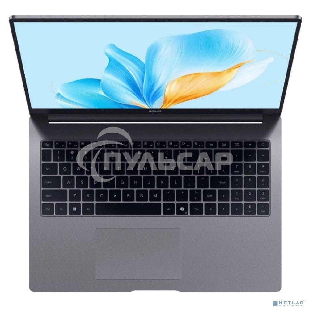 Ноутбук HONOR MagicBook X 16 серый 5301ALXS Intel Core i3 1315U/8Gb/SSD 512Gb/16